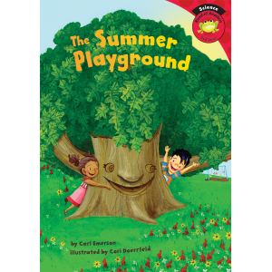 The Summer Playground