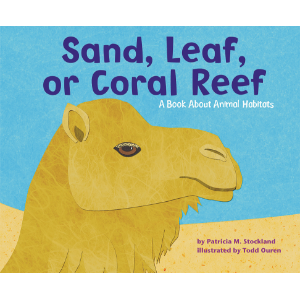 Sand, Leaf, or Coral Reef