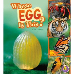 Whose Egg Is This?
