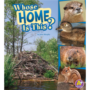 Whose Home Is This?