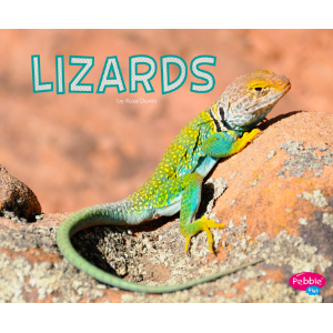 Lizards