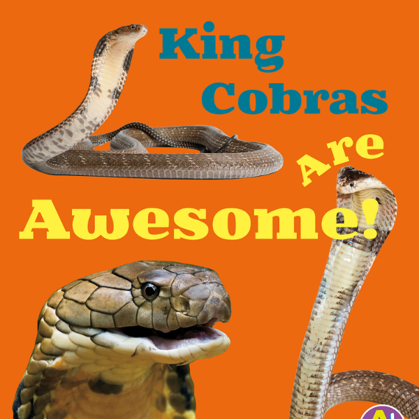 King Cobras Are Awesome! Free Radio