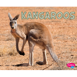 Kangaroos