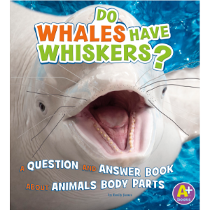 Do Whales Have Whiskers?