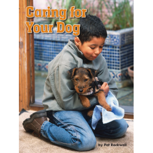 Caring for Your Dog