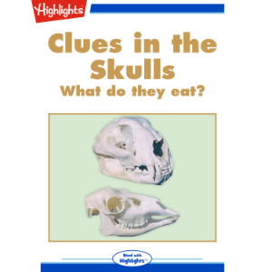 Clues in the Skulls