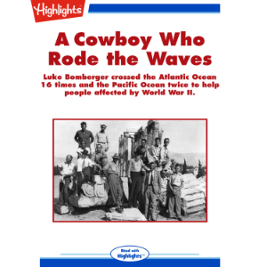 A Cowboy Who Rode the Waves-logo