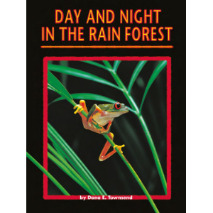 Day and Night in the Rain Forest