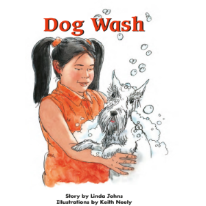 Dog Wash