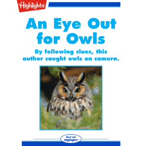 An Eye Out for Owls