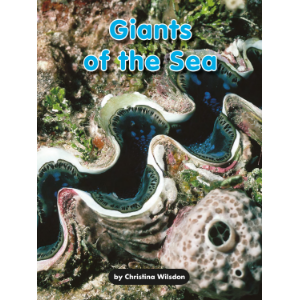 Giants of the Sea