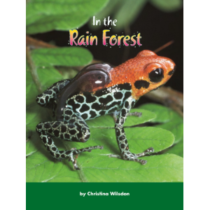 In the Rain Forest