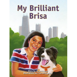 My Brilliant Brisa
