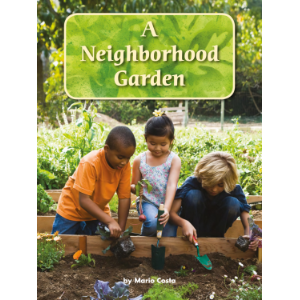 A Neighborhood Garden-logo