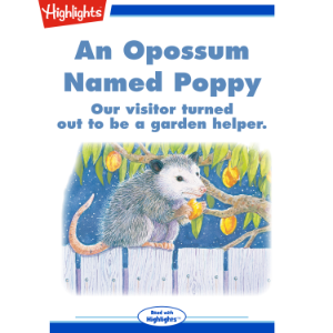 An Opossum Named Poppy