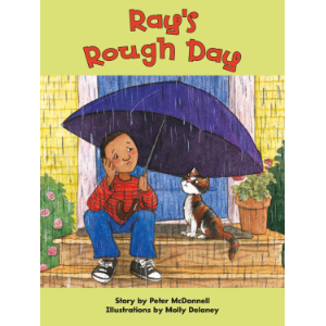 Ray's Rough Day