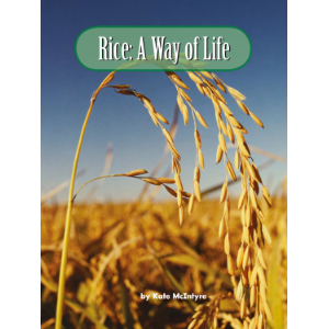 Rice