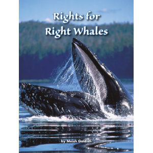 Rights for Right Whales
