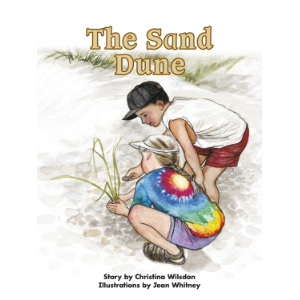 The Sand Dune