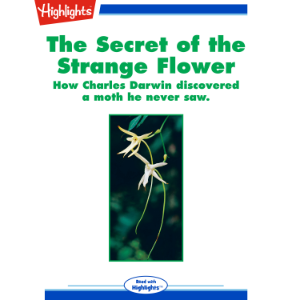 The Secret of the Strange Flower