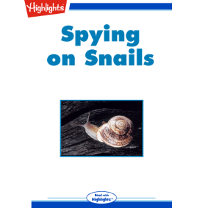 Spying on Snails