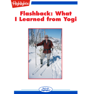What I Learned from Yogi