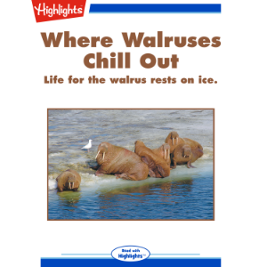 Where Walruses Chill Out