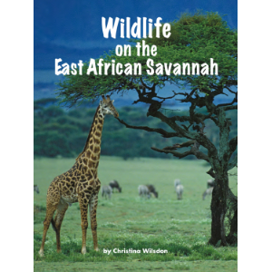 Wildlife on the East African Savannah