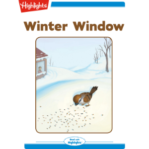 Winter Window