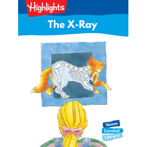 The X-Ray