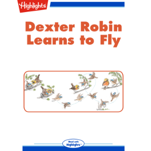 Dexter Robin Learns to Fly