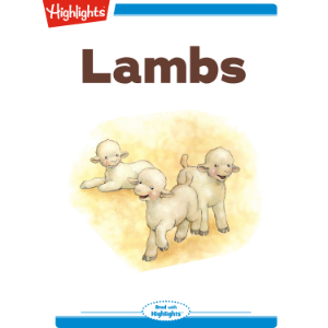 Lambs