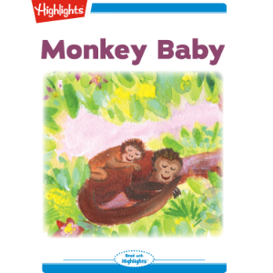 Monkey Baby