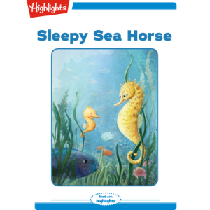 Sleepy Sea Hourse