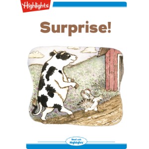 Surprise