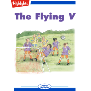 The Flying V