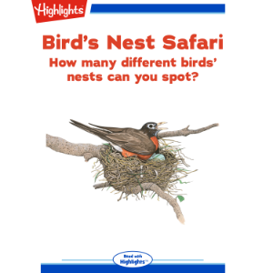 Bird's Nest Safari