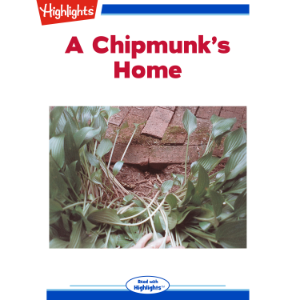 A Chipmunk's Home-logo