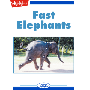 Fast Elephants