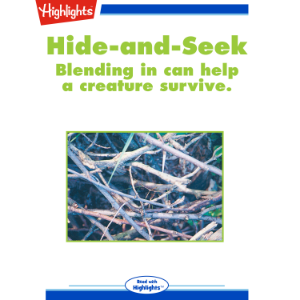 Hide-and-Seek
