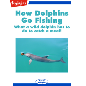 How Dolphins Go Fishing