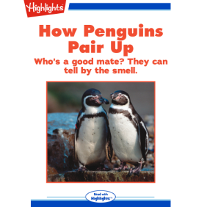 How Penguins Pair Up
