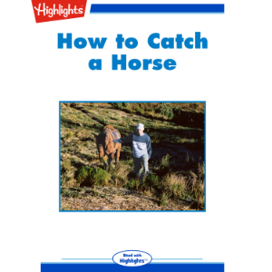 How to Catch a Horse