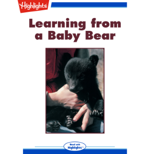 Learning from a Baby Bear