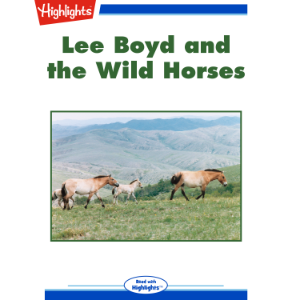 Lee Boyd and the Wild Horses