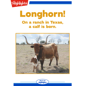 Longhorn!