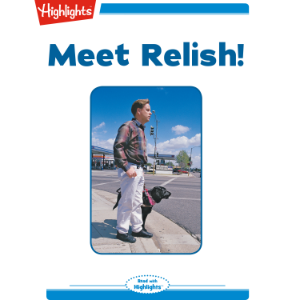 Meet Relish!