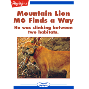 Mountain Lion M6 Finds a Way