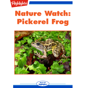 Nature Watch: Pickerel Frog; Spot the Imposter
