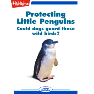 Protecting Little Penguins